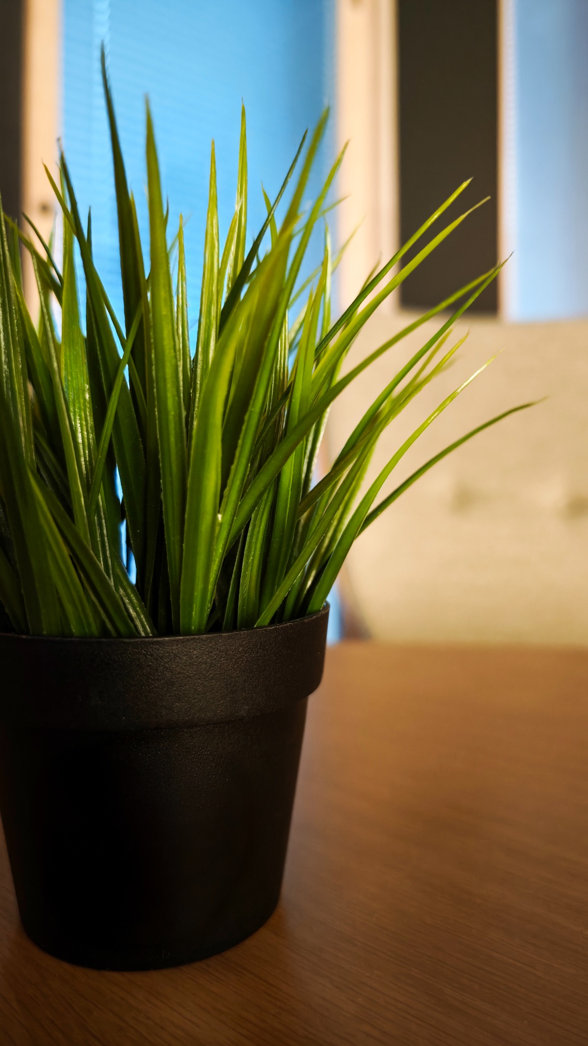 IMG 20251113 080558 copy